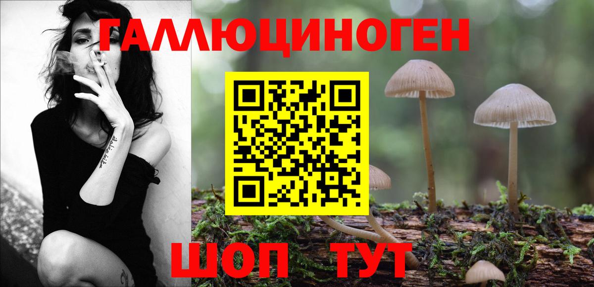 Псилоцибиновые грибы Psilocybe Норильск