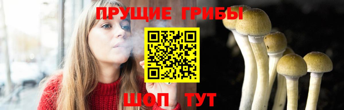Норильск  Галлюциногенные грибы Cubensis  Вход с VPN 